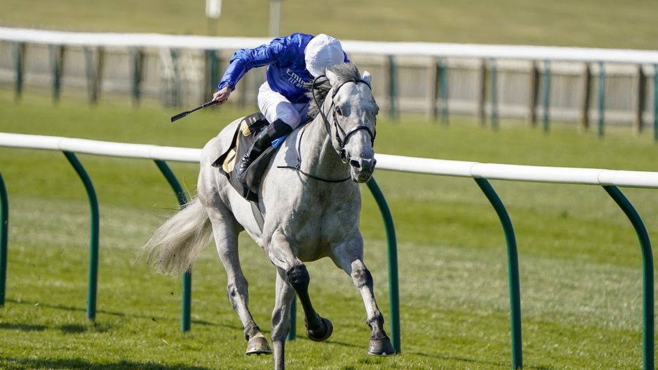 Highland Avenue is too strong at Newmarket