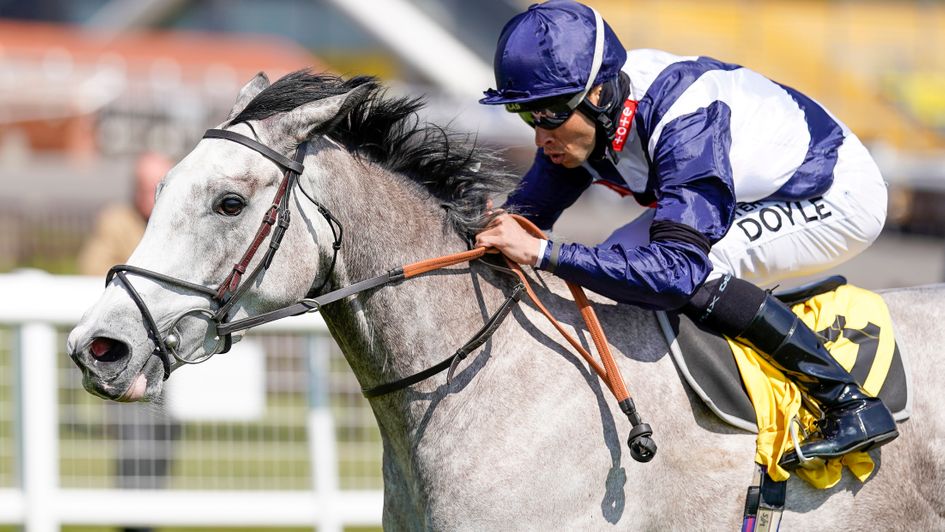 Snow Lantern in winning action at Newbury