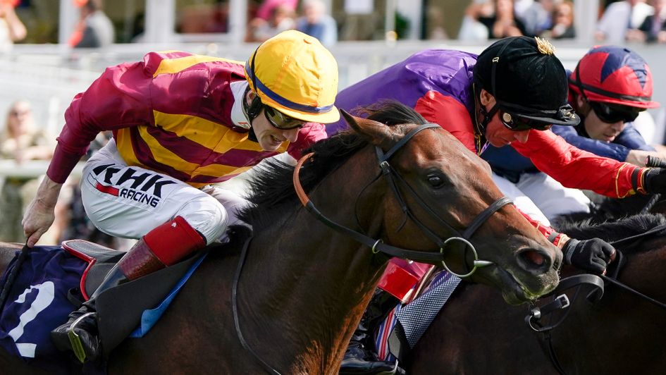 Bayside Boy wins at Doncaster