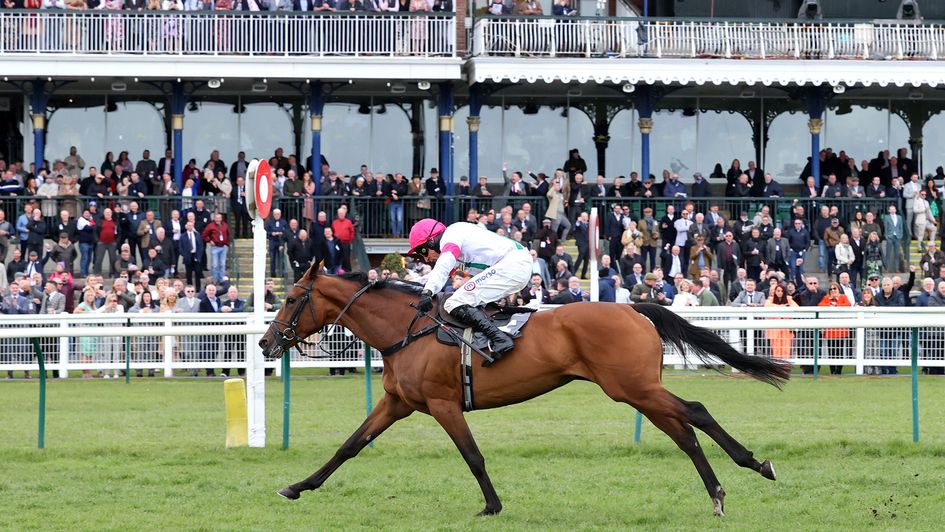 Get A Tonic won at Ayr last spring