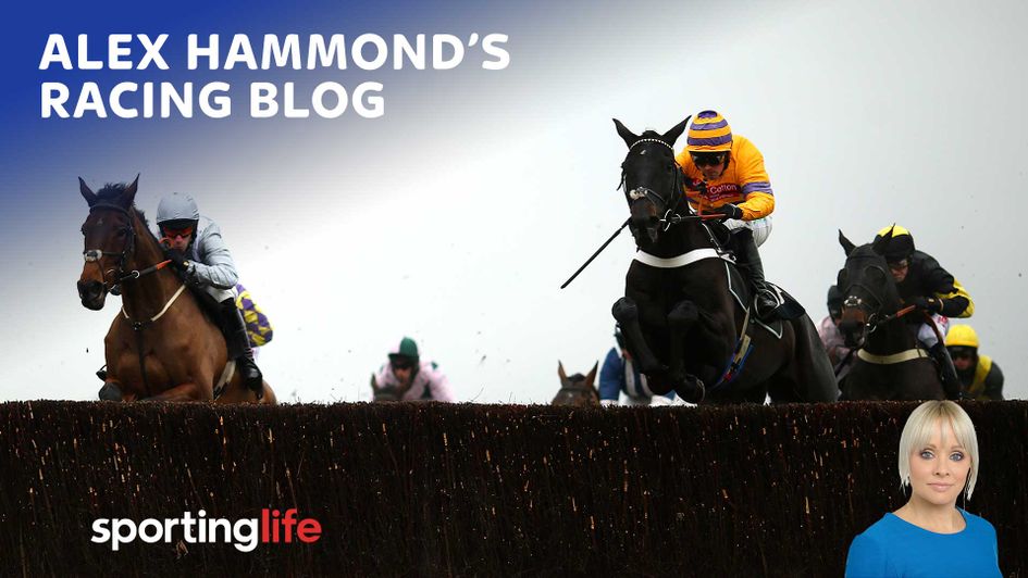 Read Alex Hammond's latest racing blog