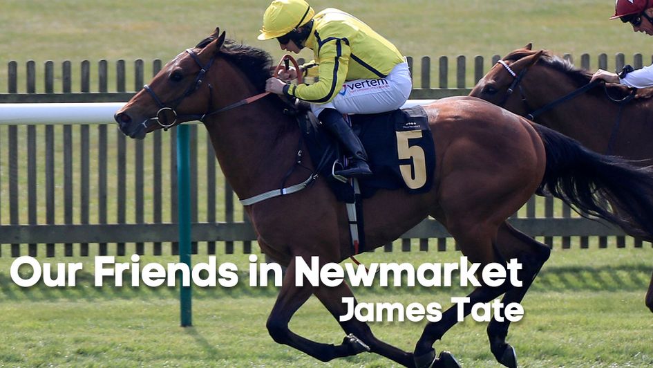 James Tate's Far Above in action