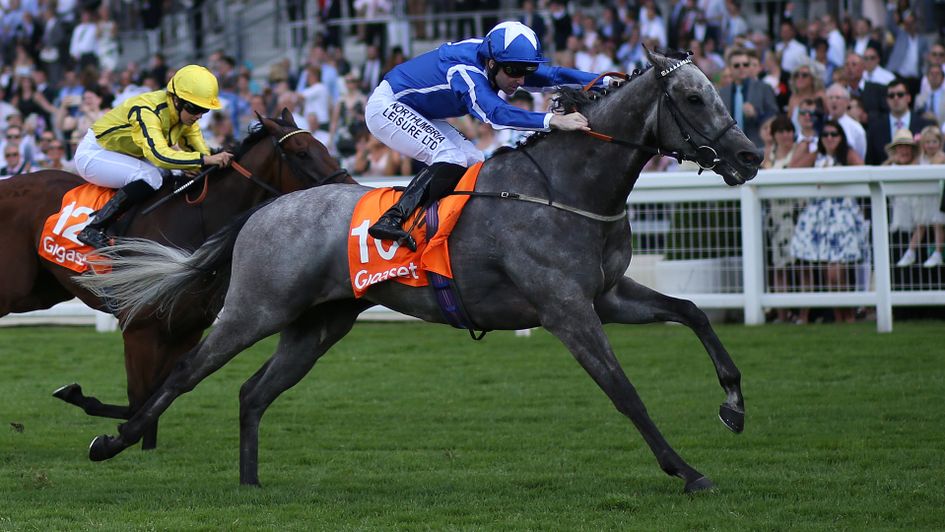 Could everything fall into place for Librisa Breeze on Saturday?