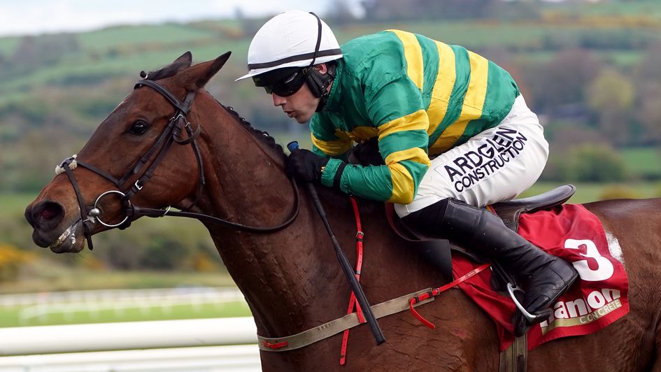 It's very straightforward for Impervious at Punchestown