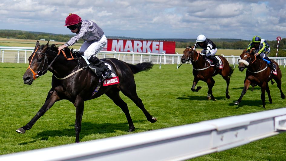 Armor is clear in the Molecomb Stakes