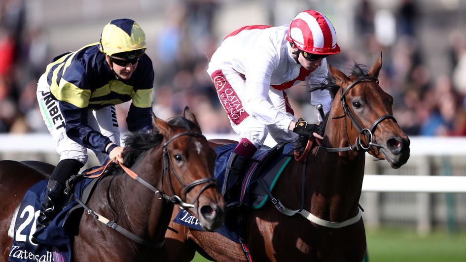 Under The Stars (right)