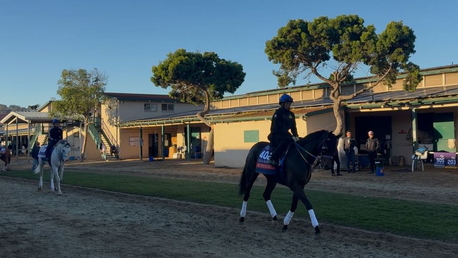 Another glorious morning in Del Mar