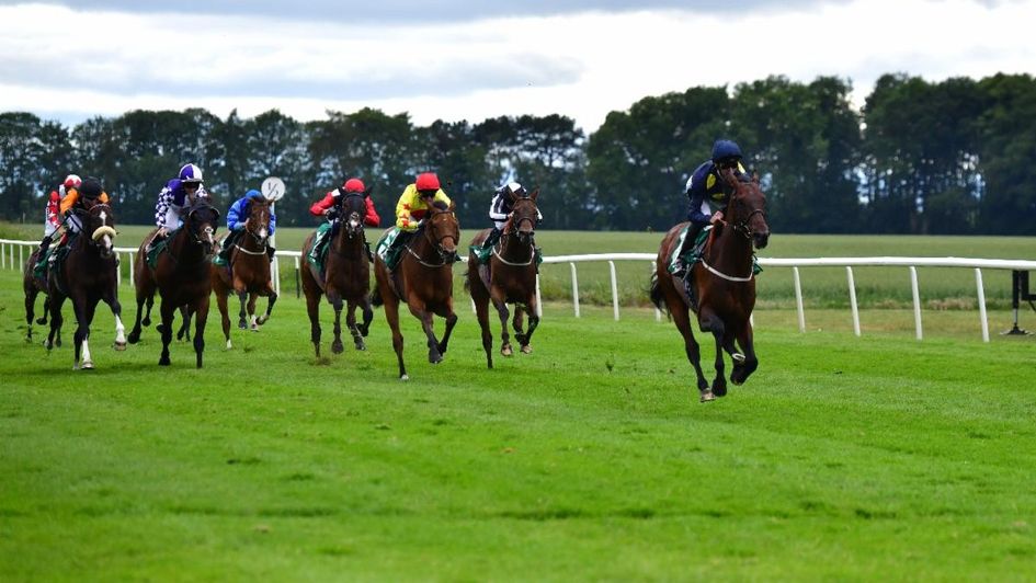 Blue RC winning at Thirsk (photo: Hannah Ali)