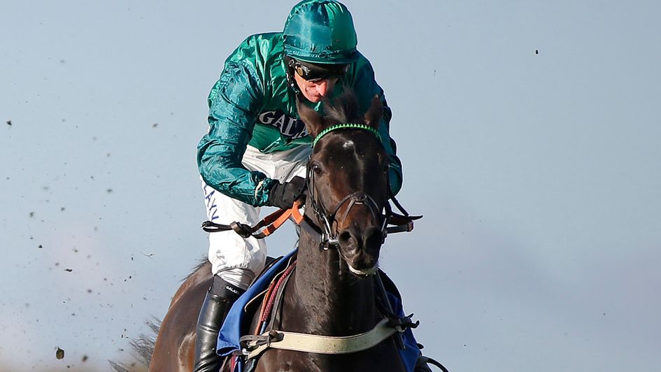 Sceau Royal won well on his fencing bow