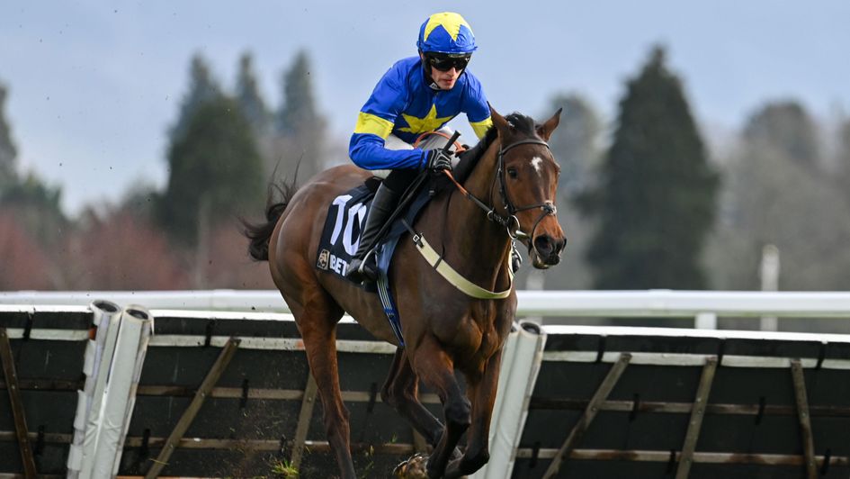 Winston Junior wins under Harry Cobden at Ascot