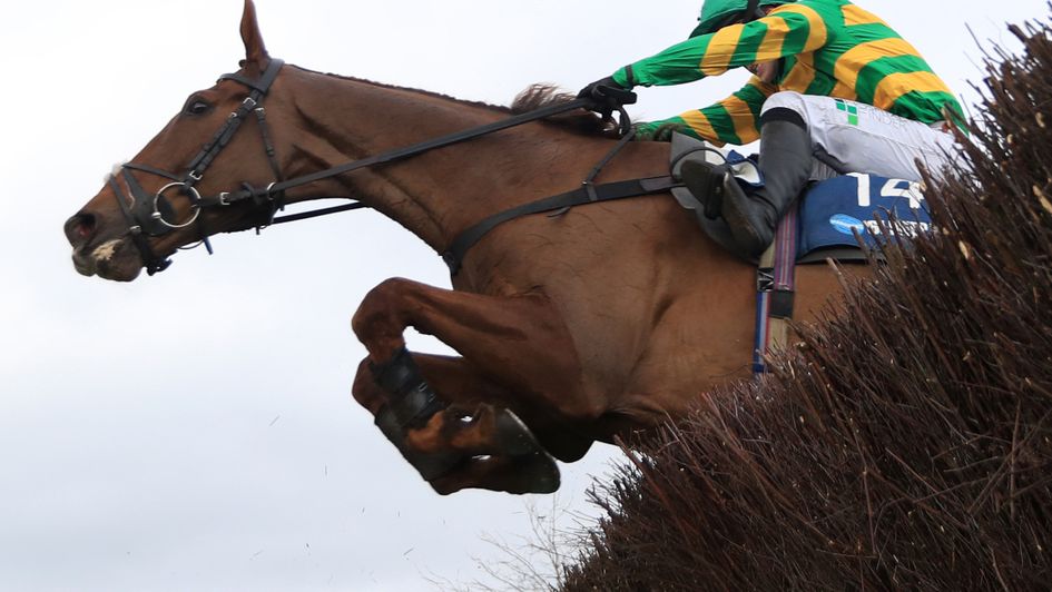 Time To Get Up looks a big player in the Midlands Grand National