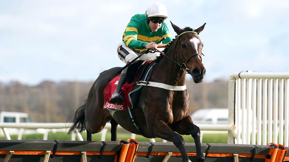 Jonbon: pictured winning his maiden hurdle at Newbury