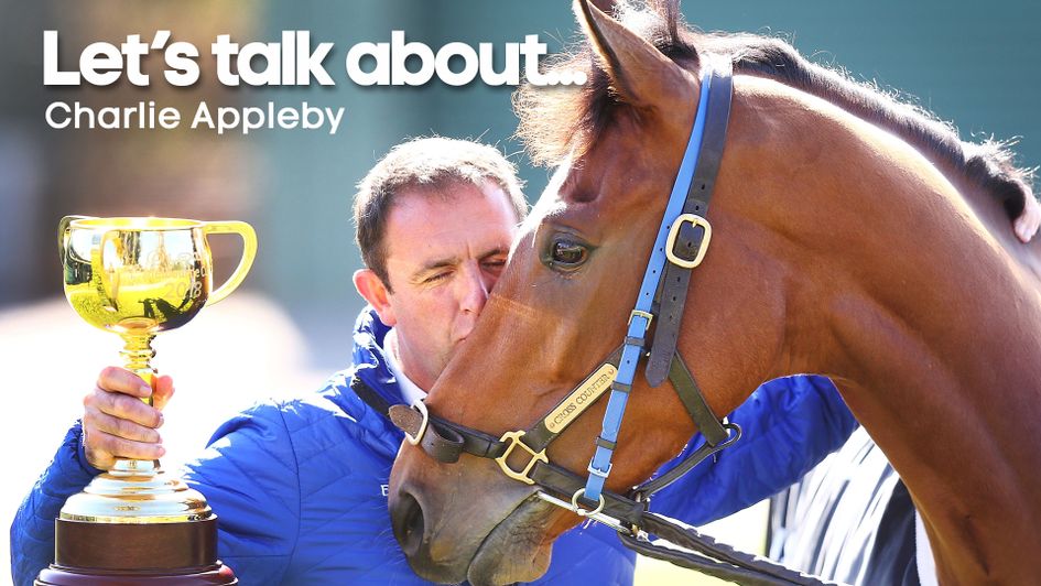 Cross Counter won the Melbourne Cup at the end of an amazing year in 2018