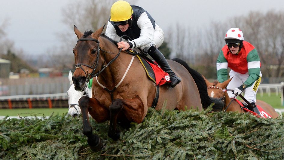 Hello Bud on his way to winning the 2012 Becher Chase, just shy of his 15th birthday