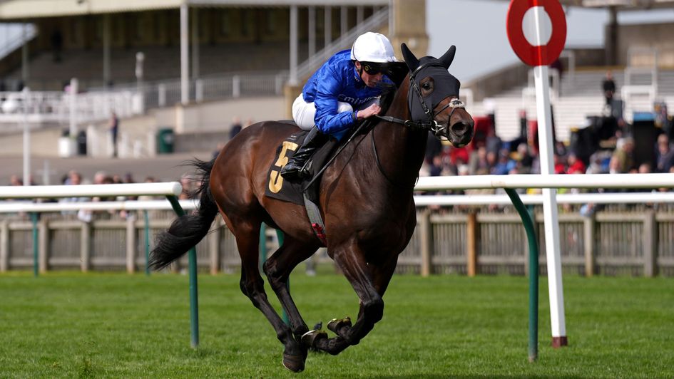 Talk Of New York hits the line at Newmarket