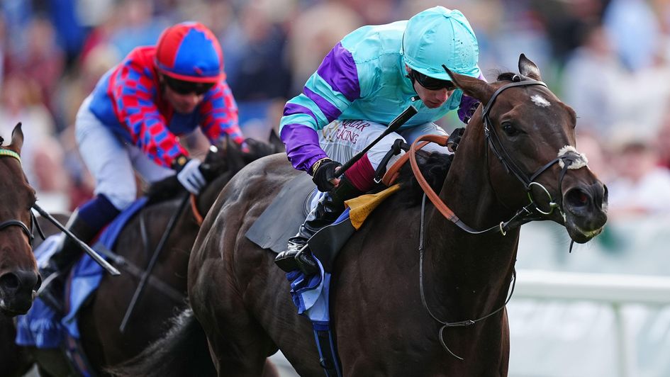 Cool Hoof Luke wins the Gimcrack