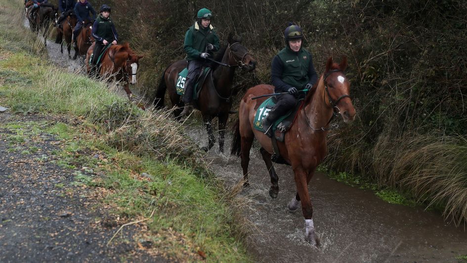 Melon - on the road back to Cheltenham
