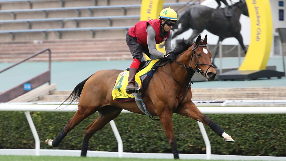 Highfield Princess limbers up