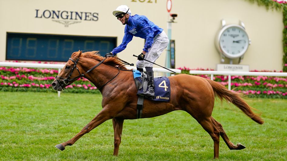 James Doyle celebrates as Creative Force wins the Jersey