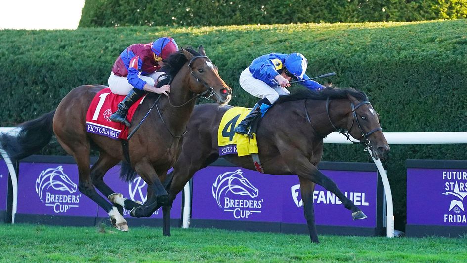 Action from the Breeders' Cup