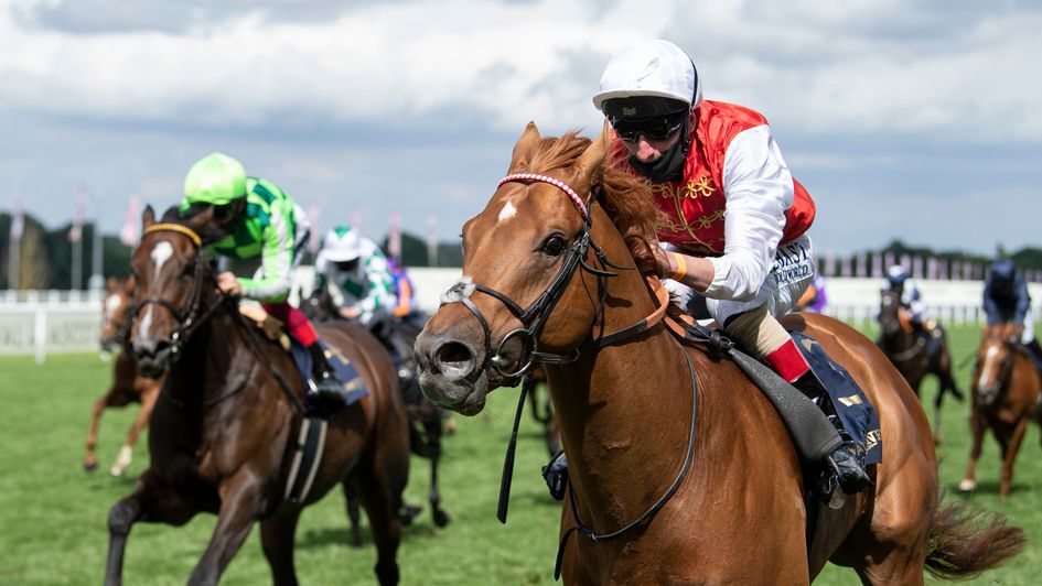 Golden Horde wins from Kimari in the Commonwealth Cup