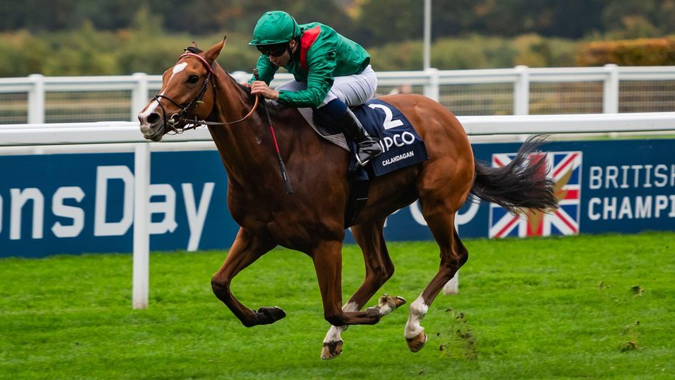 Mickael Barzalona drives Calandagan to victory in the Champion Stakes