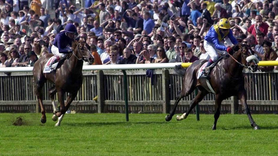 King's Best is clear of the great Giant's Causeway