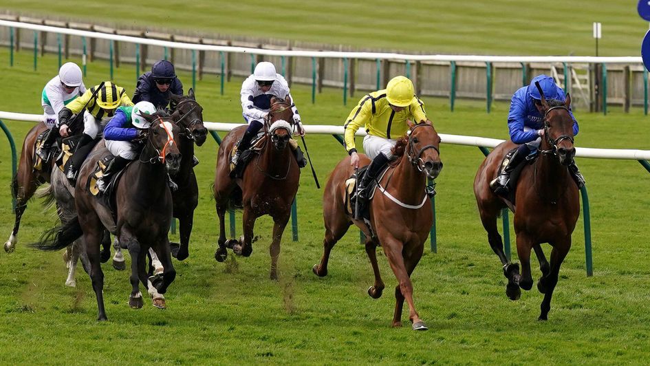 Pretty Crystal battles to victory in the Nell Gwyn