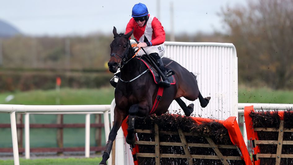 Ballyadam wins at Down Royal