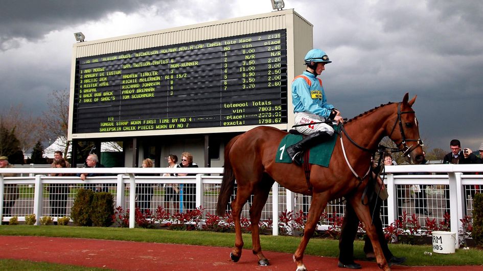 Fans' favourite Mad Moose pictured on his best behaviour in the parade ring - it was often a different story at the start