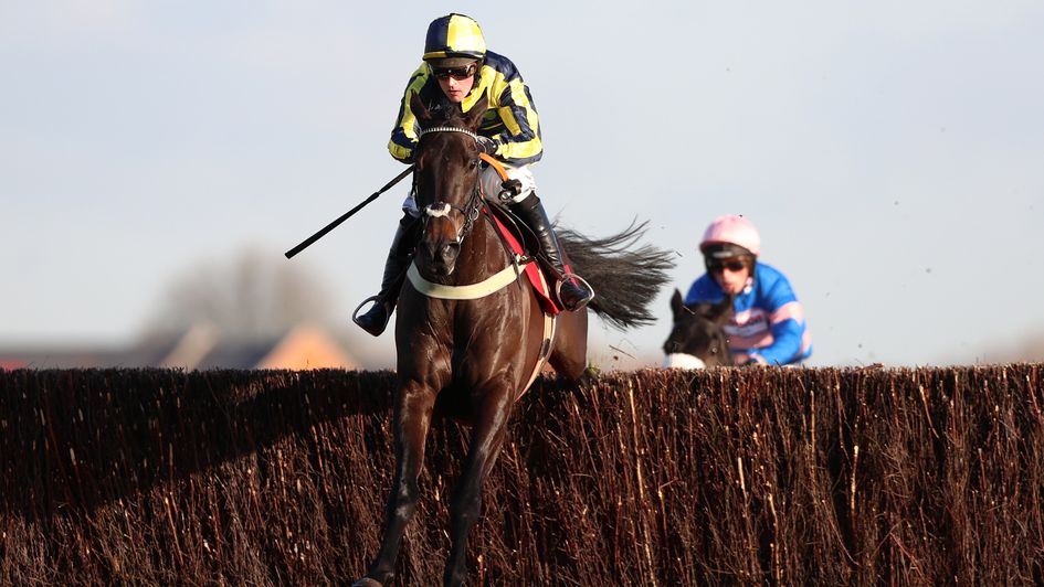 Willoughby Court: Can strike at Cheltenham