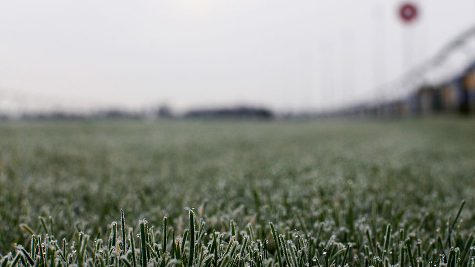 Frost - decimating the jumps programme