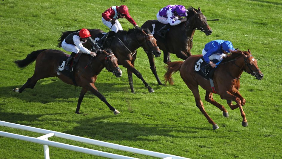 Yibir is on top at Newbury