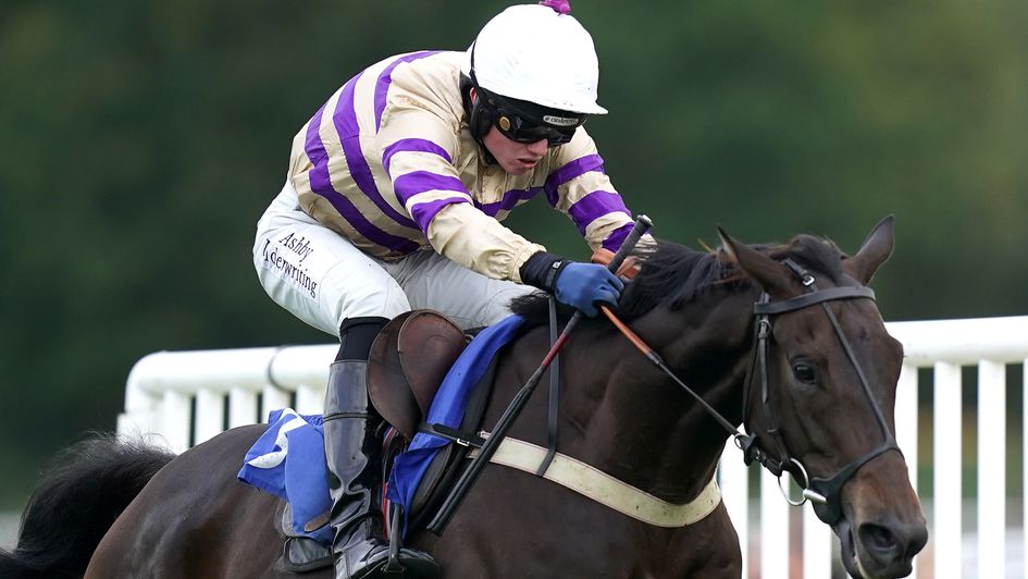 Ray's The One ridden by jockey Joshua Moore