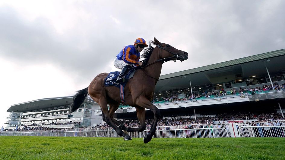 Bubbling was an impressive winner for Aidan O'Brien