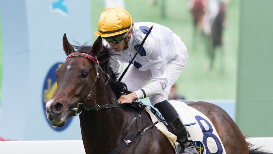 Golden Sixty - continues to impress