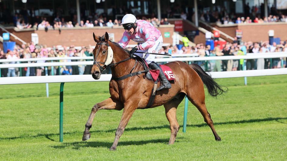 Jeffrey's Cross wins at Haydock (Grossick photography)
