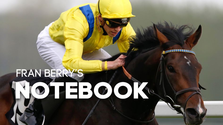 Young Rascal runs this weekend