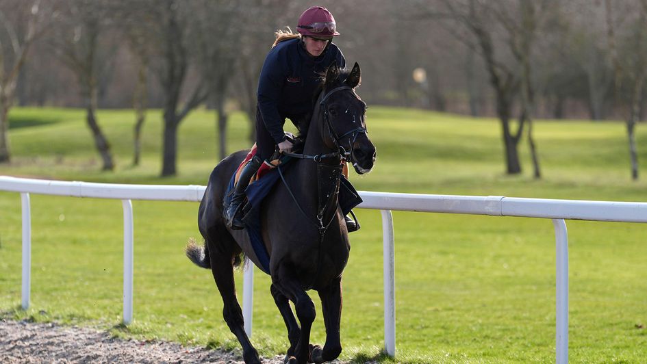 Handstands is ridden along the gallops at Ben Pauling's yard