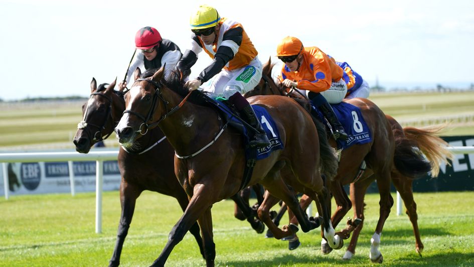 Aspen Grove (yellow cap) gave sire Justify, a son of Scat Daddy, another stakes winner