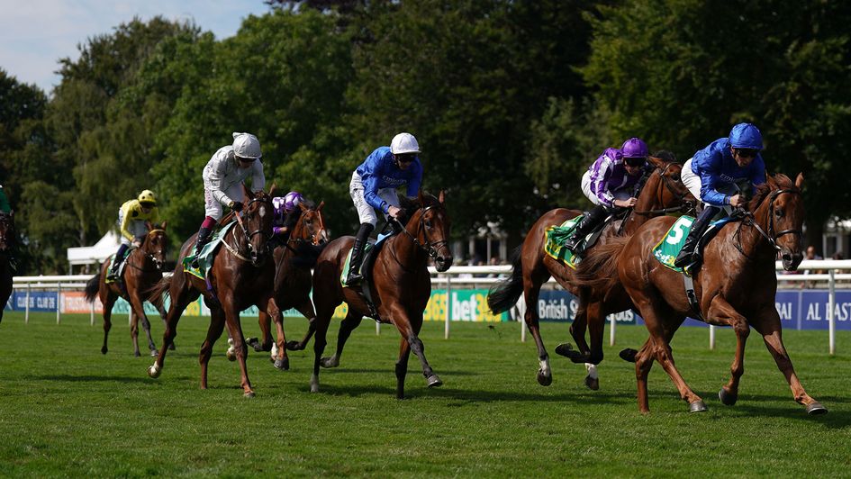 Venetian Lace (silver silks) finished fourth in the Superlative