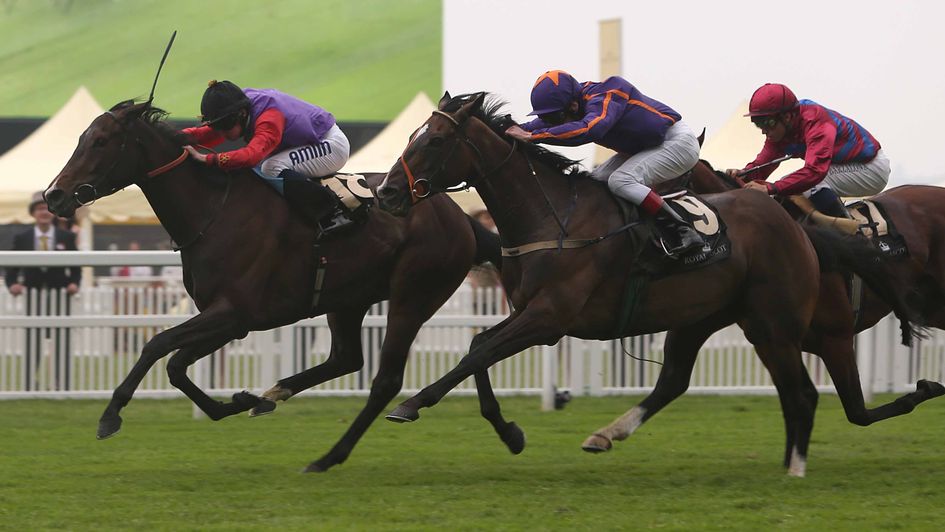 Estimate wins the Gold Cup