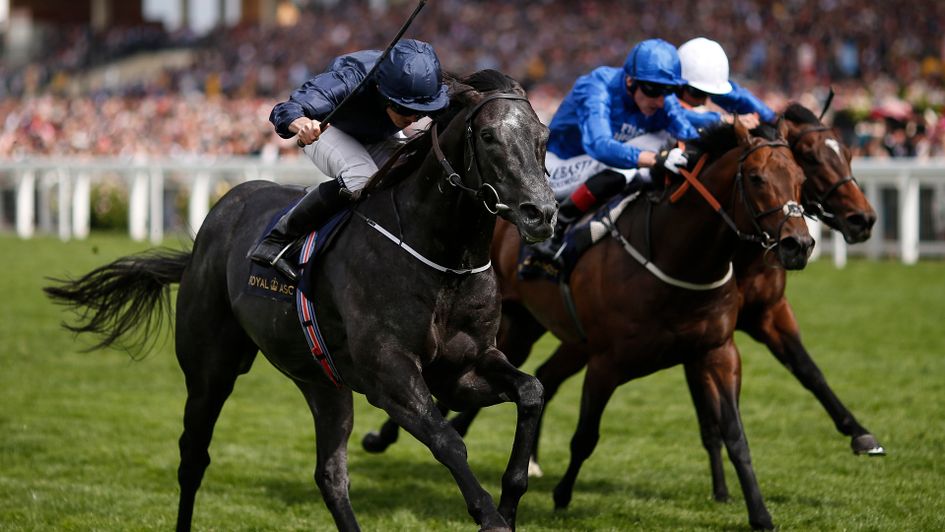 Caravaggio leads Harry Angel and Blue Point