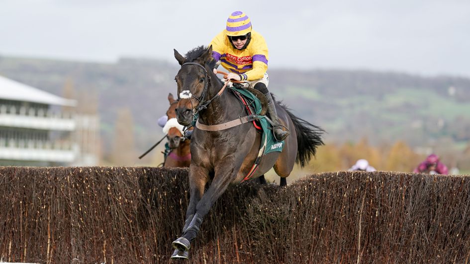Magic Saint: an impressive winner at Cheltenham last season