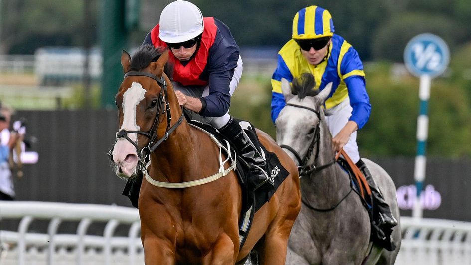 Lady Iman wins the Molecomb