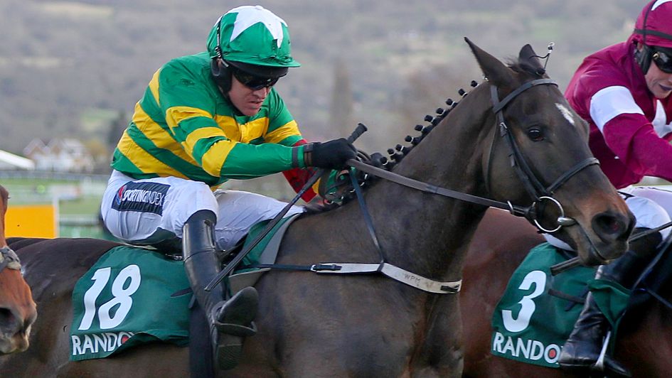 Saint Roi pictured in action at the 2020 Cheltenham Festival