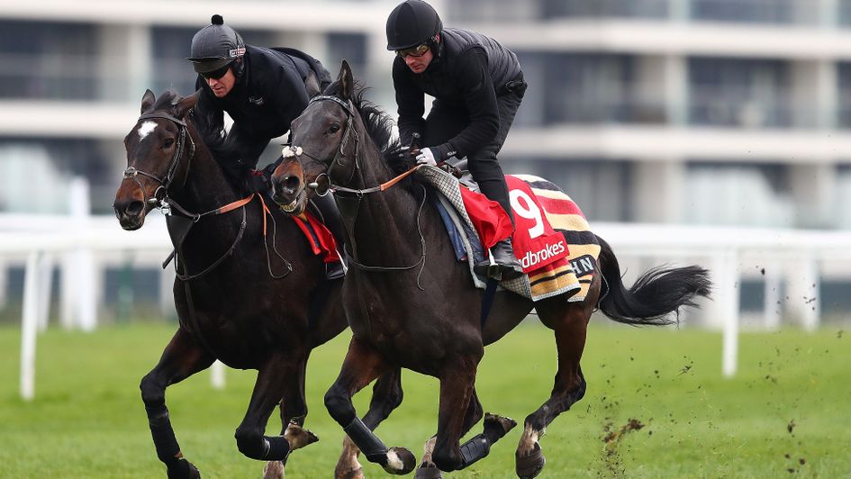 Beware The Bear works with Santini at Newbury