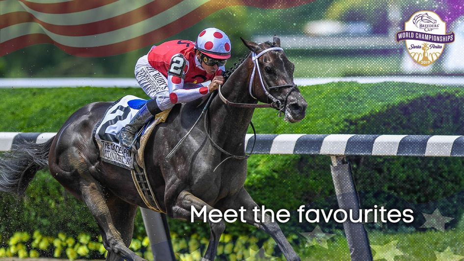 Midnight Bisou is a strong contender for the Distaff