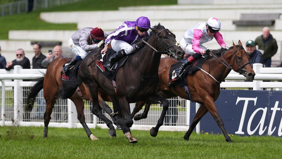 Albert Einstein ridden by Ryan Moore (centre)
