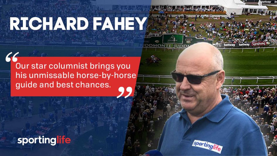 Richard Fahey Golden Sands in great nick Horsebyhorse guide to